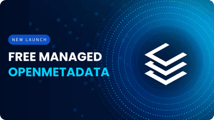 Free Managed OpenMetadata